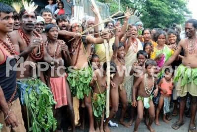 Adivasi Hakki Pikki Neelambari Herbal Hair Oil